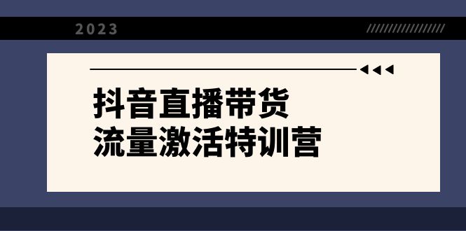 （8185期）抖音直播带货-流量激活特训营，入行新手小白主播必学（21节课+资料）-暖阳网-优质付费教程和创业项目大全-蓝悦项目网