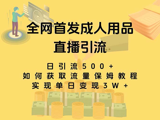 （8193期）最新全网独创首发，成人用品直播引流获客暴力玩法，单日变现3w保姆级教程-暖阳网-优质付费教程和创业项目大全-蓝悦项目网