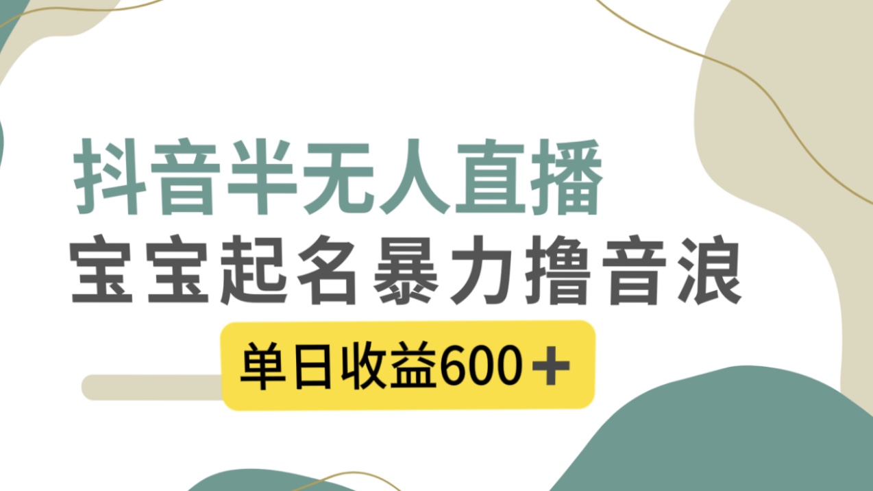 （8192期）抖音半无人直播，宝宝起名，暴力撸音浪，单日收益600+-暖阳网-优质付费教程和创业项目大全-蓝悦项目网