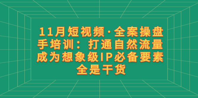 （8182期）11月短视频·全案操盘手培训：打通自然流量 成为想象级IP必备要素 全是干货-暖阳网-优质付费教程和创业项目大全-蓝悦项目网