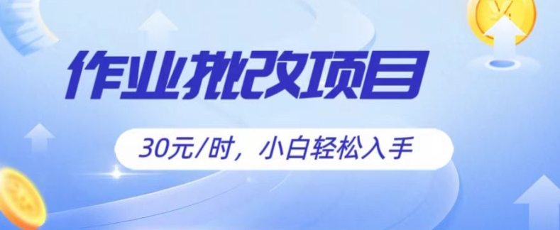 批作业新项目，30元后，简易易上手，适宜宝妈妈，在校大学生-蓝悦项目网