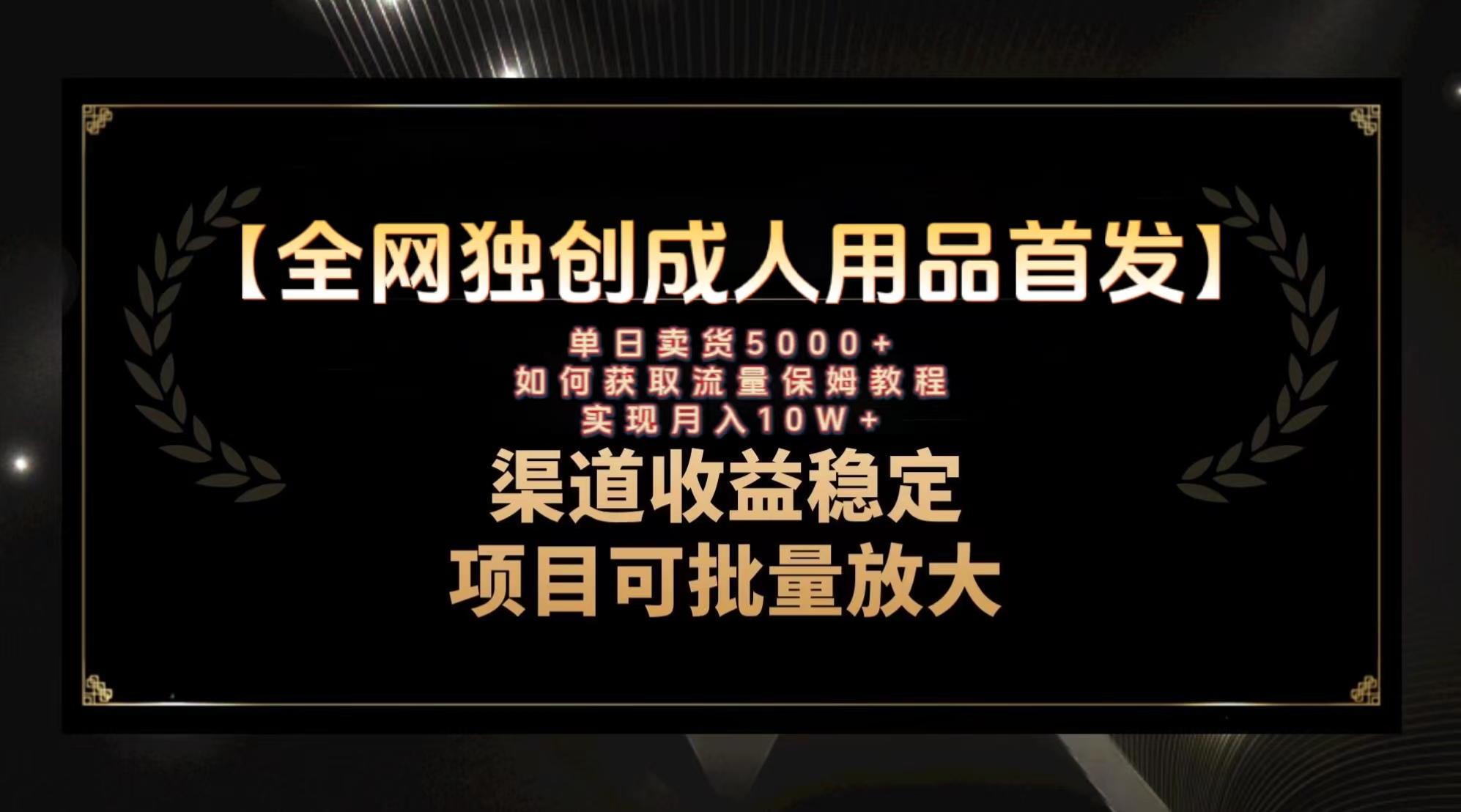 （8128期）全新各大网站独创性先发，两性用品跑道引流方法拓客，月入10w家庭保姆级实例教程-暖阳网-优质付费教程和创业项目大全-蓝悦项目网