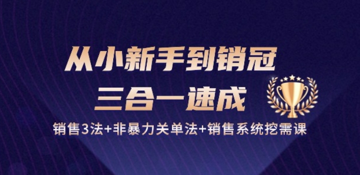 从小新手到销冠 三合一速成：销售3法+非暴力关单法+销售系统挖需课 (27节)-蓝悦项目网