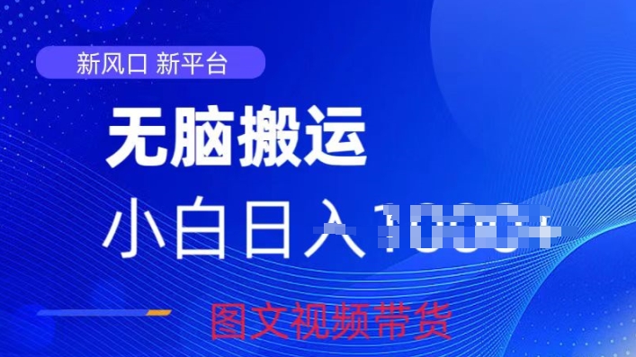 京东视频图文搬运带货项目，蓝海赛道小白轻松上手，每天一小时轻松获取收益-蓝悦项目网