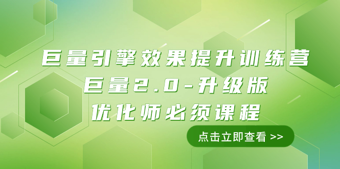 （7887期）磁力引擎·实际效果提高夏令营：大量2.0-全新升级，优化专员务必课程内容（111堂课）-蓝悦项目网