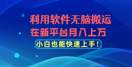 利用软件无脑搬运，在新平台月入上万，小白也能快速上手-蓝悦项目网