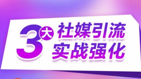 3大社交媒体引流方法实战演练加强，多种渠道站外引流，高效率营销获客，订单信息销售总额翻倍增长-蓝悦项目网