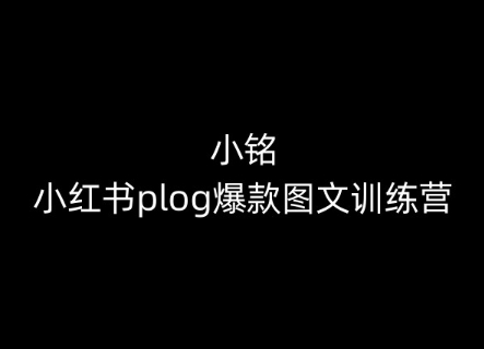 小铭-小红书的plog爆品图文并茂夏令营，教大家从0-1做小红书的-蓝悦项目网