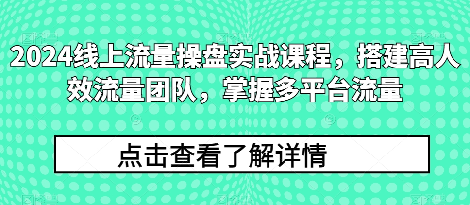 2024用户流量股票操盘实战演练课程内容，构建高人效总流量精英团队，把握多用户流量-蓝悦项目网