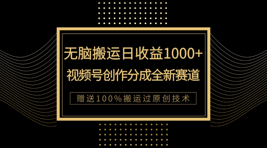 （7736期）单日盈利1000 ，新品类新生态，微信视频号写作分为没脑子运送100%抖音上热门-蓝悦项目网