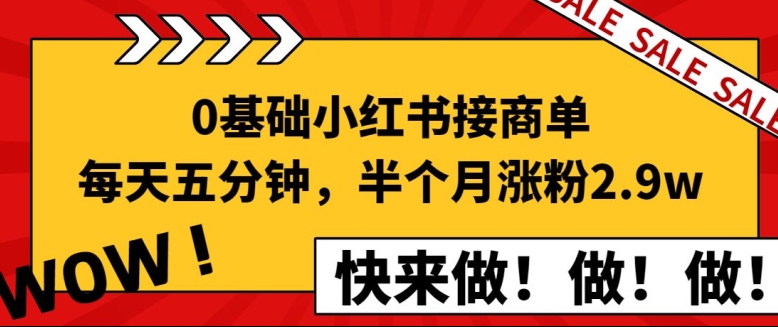 0基本小红书的接商单，每天五分钟，15天增粉2.9w新手指南-蓝悦项目网