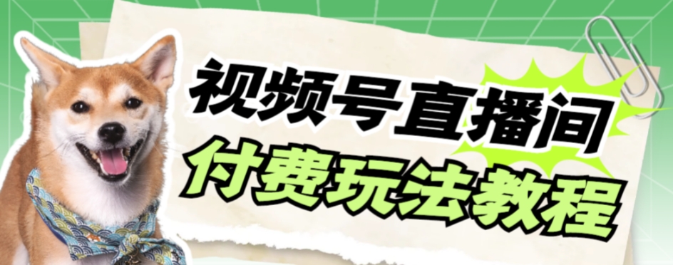 （7660期）微信视频号漂亮美女付钱无人直播，轻轻松松日入500 【详尽游戏玩法实例教程】-蓝悦项目网