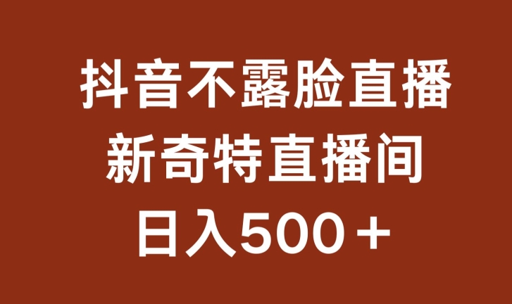 不露脸挂机直播，新奇特直播间，日入500+【揭秘】-蓝悦项目网