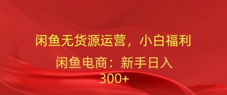 闲鱼平台无货源电商经营，新手褔利，日入300加-蓝悦项目网