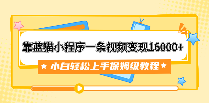 （7595期）靠布偶猫微信小程序一条视频变现16000 新手快速上手家庭保姆级实例教程（附166G材料素材内容）-蓝悦项目网