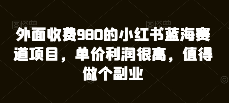 外边收费标准980的小红书瀚海跑道新项目，价格盈利非常高，值得坚持个第二职业-蓝悦项目网