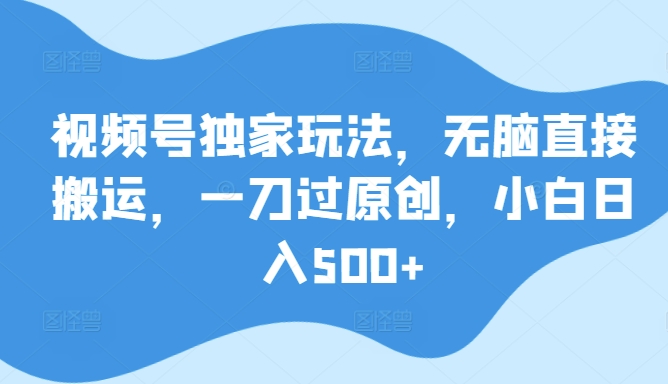 视频号独家玩法，无脑直接搬运，一刀过原创，小白日入500+-蓝悦项目网