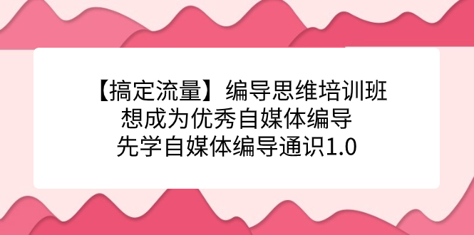 （7281期）【解决总流量】导演逻辑思维培训机构，要成为出色自媒体平台导演先学自媒体编导通识类1.0-蓝悦项目网