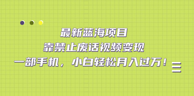 （7276期）全新蓝海项目，靠严禁空话视频变现，一部手机，新手轻轻松松月入破万！-蓝悦项目网