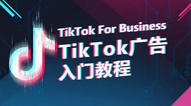 TikTok广告入门教程，从0到1掌握TikTok投放的全流程-蓝悦项目网