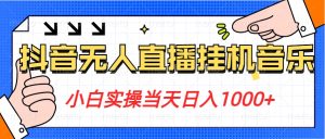 小白实操当天日入1000+，抖音24小时无人直播音乐，不违规，不封号纯撸音浪-蓝悦项目网