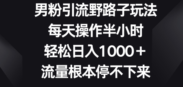 男粉引流野路子玩法，每天操作半小时轻松日入1000+，流量根本停不下来-蓝悦项目网