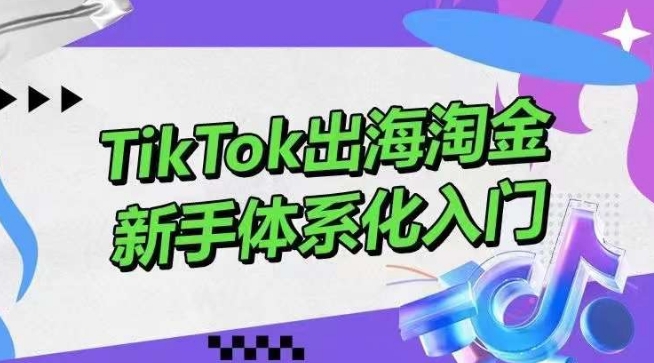 TikTok出海淘金，新手体系化入门，零基础快速入门，掌握短视频、直播带货等引流到变现的知识-蓝悦项目网