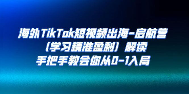 （7195期）国外TikTok小视频出航-起航营（学习培训精确赢利）讲解，手把手的教会大家从0-1进入-蓝悦项目网