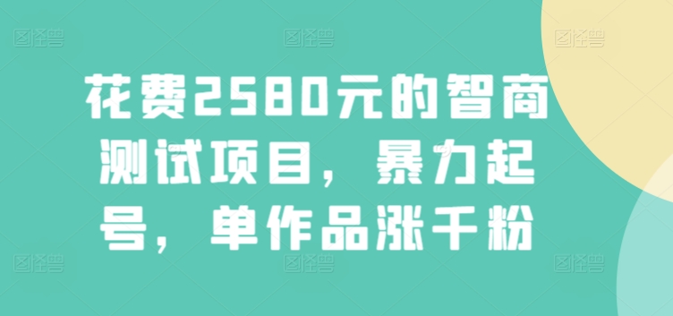 花费2580元的智商测试项目，暴力起号，单作品涨千粉-蓝悦项目网