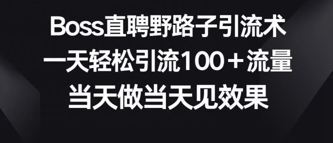 Boss直聘野路子引流术，一天轻松引流100+流量，当天做当天见效果-蓝悦项目网