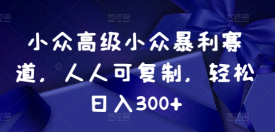 小众暴利赛道，人人可复制，轻松日入300+-蓝悦项目网