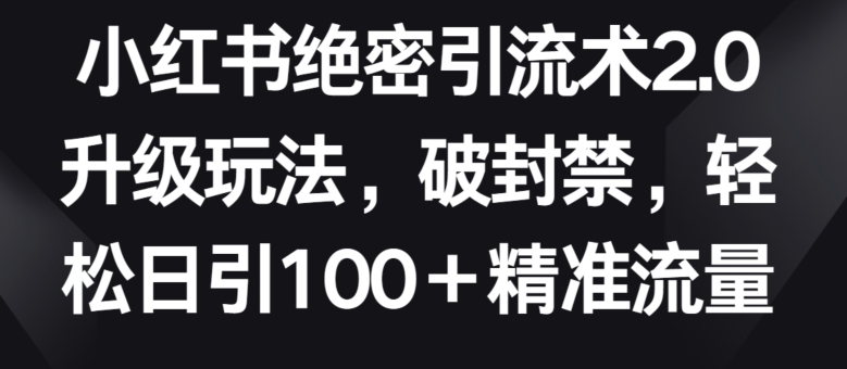 小红书绝密引流术2.0升级玩法，破封禁，轻松日引100+精准流量【揭秘】-蓝悦项目网