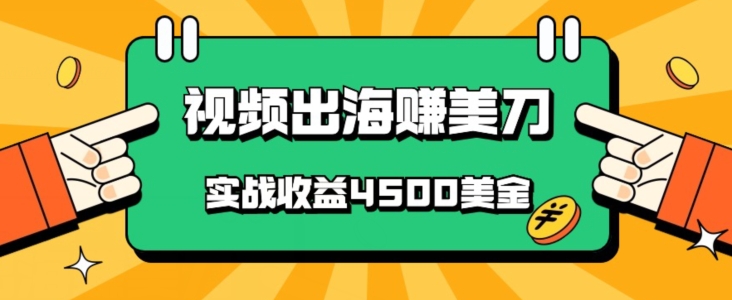 国内爆款视频出海赚美刀，实战收益4500美金，批量无脑搬运，无需经验直接上手-蓝悦项目网