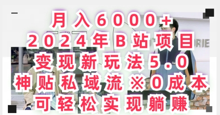 月入6000+，2024年B站项目变现新玩法5.0.神贴私域流0成本，可轻松实现躺赚-蓝悦项目网