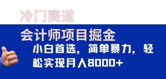 冷门赛道，会计师项目掘金，小白首选，简单暴力，轻松实现月入8000+-蓝悦项目网