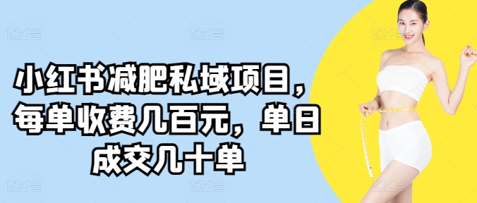 小红书减肥私域项目，每单收费几百元，单日成交几十单-蓝悦项目网