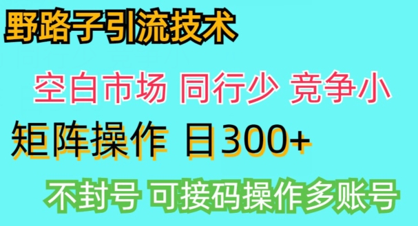 拼多多野路子引流创业粉实战教学，手动操作，用户转化率高-蓝悦项目网