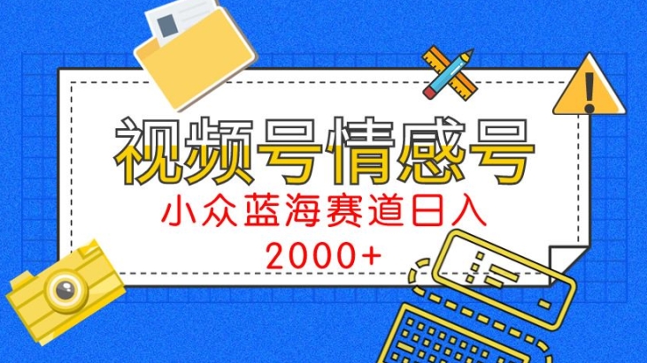 视频号情感号小众蓝海赛道，每天一小时，日入3000+-蓝悦项目网