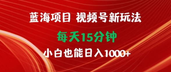 蓝海项目，视频号新玩法，每天15分钟，小白也能日入1000+-蓝悦项目网