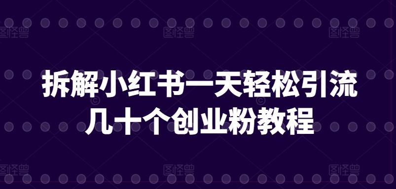 拆解小红书一天轻松引流几十个创业粉教程-蓝悦项目网