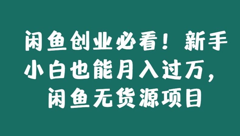 闲鱼创业必看！新手小白也能月入过万，闲鱼无货源项目-蓝悦项目网