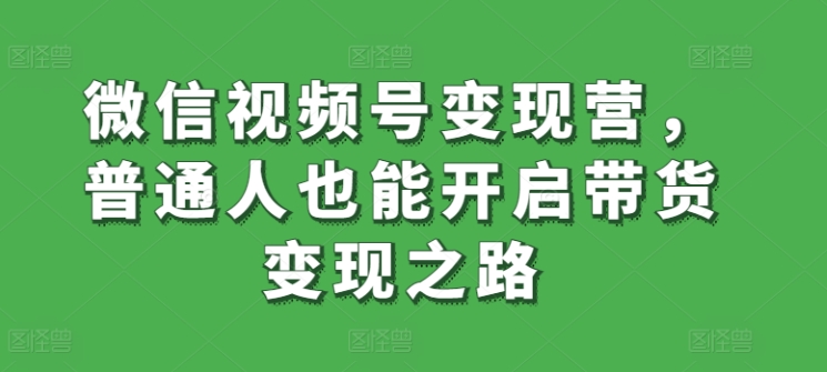 微信视频号变现营，普通人也能开启带货变现之路-蓝悦项目网