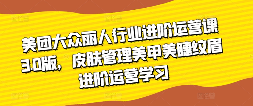 美团大众丽人行业进阶运营课3.0版，皮肤管理美甲美睫纹眉进阶运营学习-蓝悦项目网