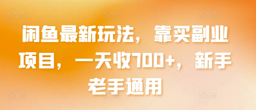 闲鱼最新玩法，靠买副业项目，一天收700+，新手老手通用【揭秘】-蓝悦项目网