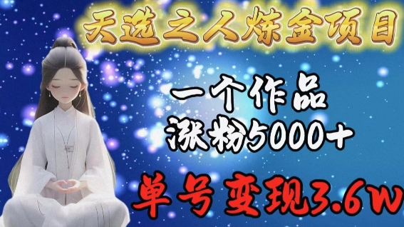 天选之人炼金项目，一个作品涨粉5000+，单号变现3.6w【揭秘】-蓝悦项目网