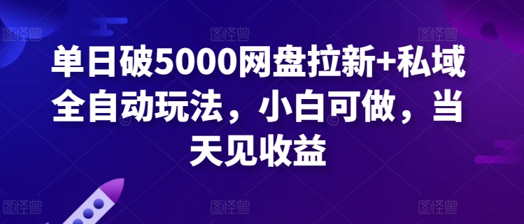 单日破5000网盘拉新+私域全自动玩法，小白可做，当天见收益-蓝悦项目网