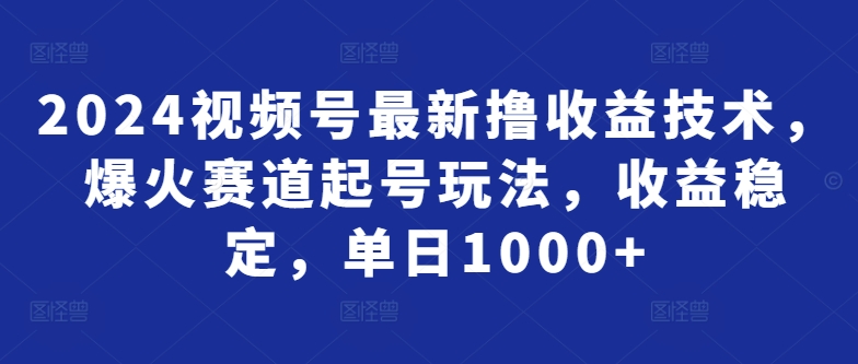 2024视频号最新撸收益技术，爆火赛道起号玩法，收益稳定，单日1000+-蓝悦项目网