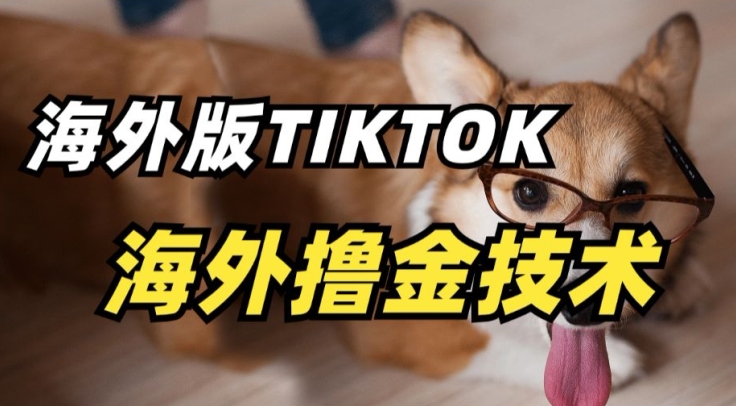 抖音海外版tiktok撸金技术，这个风口行业，赚钱真的不难【揭秘】-蓝悦项目网