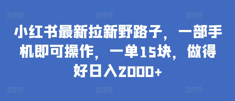 小红书最新拉新野路子，一部手机即可操作，一单15块，做得好日入2000+【揭秘】-蓝悦项目网