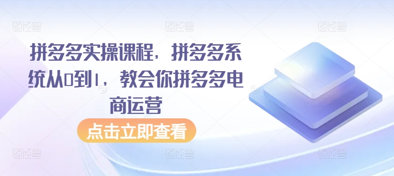 拼多多实操课程，拼多多系统从0到1，教会你拼多多电商运营-蓝悦项目网